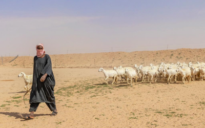 Horizons #47- Saudi Arabia’s love affair with barley (Part One)