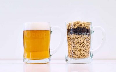Brazil: Australian barley – adding value to Brazil’s malting and brewing industries