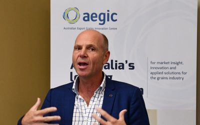 GRDC infrastructure investment to value-add for Australian pulses