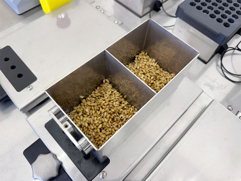 Grains of barley inside two of the six MultiMalter chambers